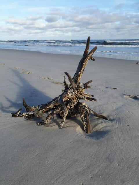 Apartament Blue Hel Apartment in Pomeranian Voivodeship