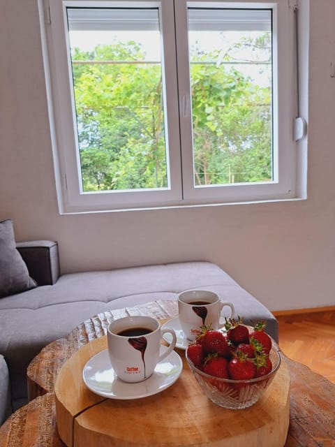 Guest house Green River Apartment in Federation of Bosnia and Herzegovina