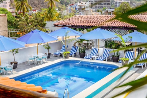 Day, Garden, Pool view, Swimming pool, sunbed