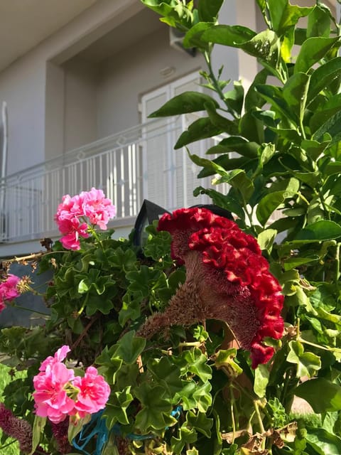Day, Garden, Garden view