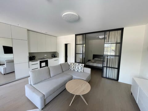 Balance in Nida Apartment in Klaipėda County, Lithuania