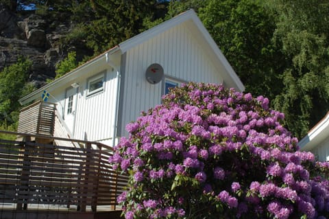Property building, Spring