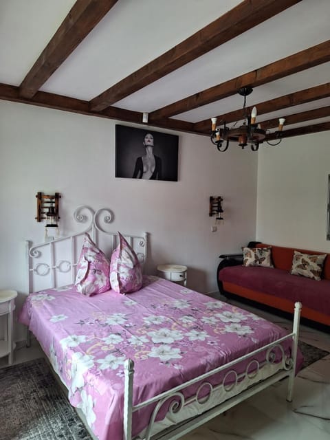 Apartament ELVIRA Băile Herculane Apartment in Serbia