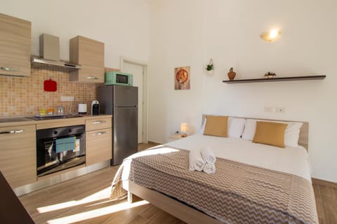 Bed, Kitchen or kitchenette, Photo of the whole room, Bedroom, stove