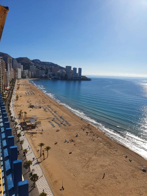 Beach, Evening entertainment, Sea view, sunbed