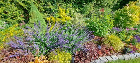 Dom Gościnny Oliwka Vacation rental in West Pomeranian Voivodeship, Poland