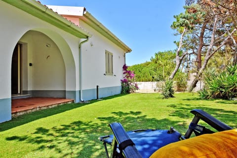 Patio, Garden, Garden view