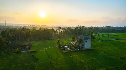 Property building, Sunrise