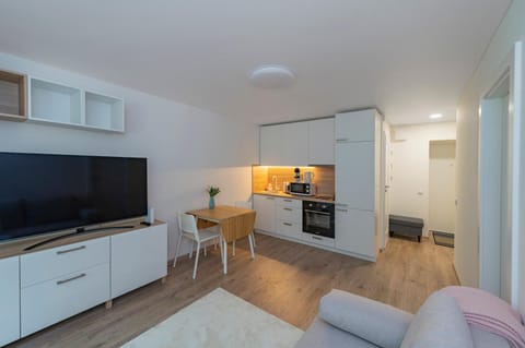 TV and multimedia, Kitchen or kitchenette, Living room, Seating area, Dining area, minibar, pet friendly, stove