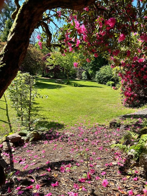 Garden, Garden view