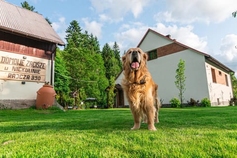 Garden, Pets