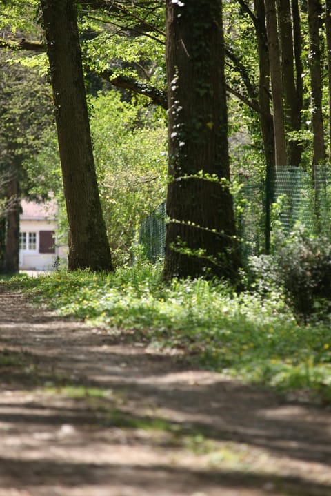 Facade/entrance, Spring