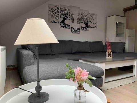 2pas2meuse Apartment in Dinant