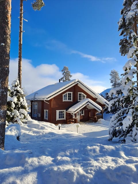 Property building, Winter