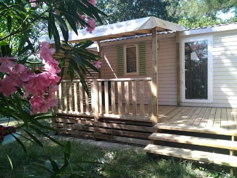 Spring, Garden, Garden view