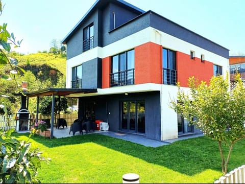 Natural landscape, Garden, Garden view