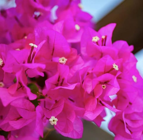 Laa Melossa Sarande Apartment in Sarandë