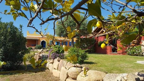 Property building, Spring, Day, Garden, Garden view