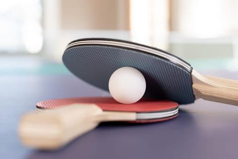 Gracelands Swiss Inspired Home with Gorgeous Grounds House in Tasmania