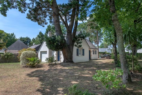 Patio, Garden, Garden view