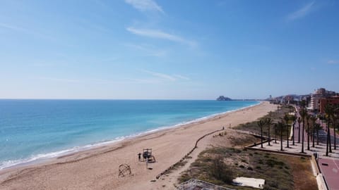 Bird's eye view, Beach, Sea view