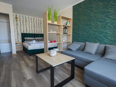 Bed, Living room, Photo of the whole room, Seating area, Bedroom