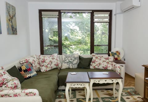 Living room, air conditioner