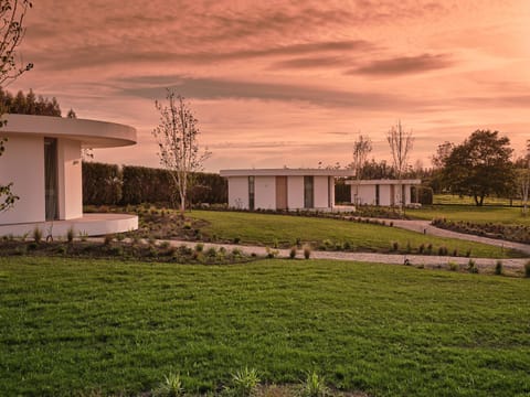 Natural landscape, Garden, Garden view
