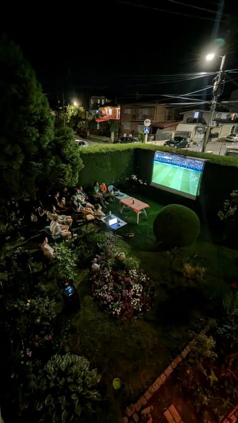 Night, Evening entertainment