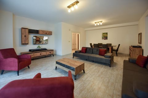 TV and multimedia, Living room, Seating area, air conditioner