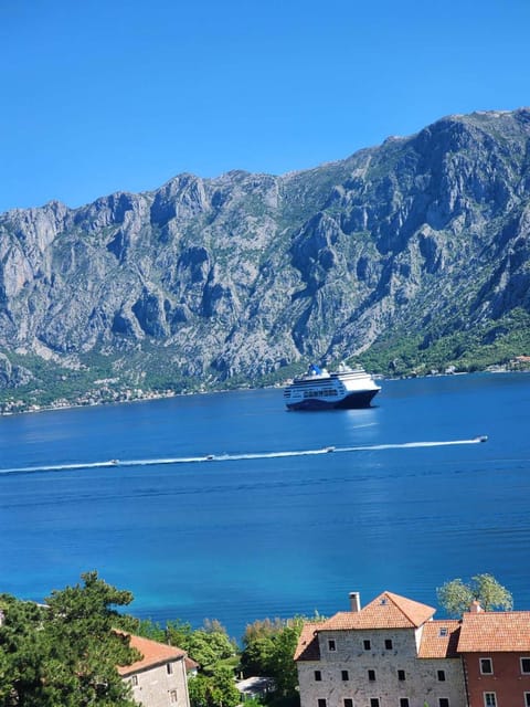 Deluxe Double Room with Garage FiS Bed and Breakfast in Kotor Municipality