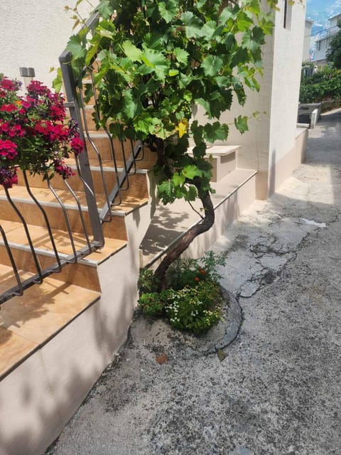 Deluxe Double Room with Garage FiS Bed and Breakfast in Kotor Municipality