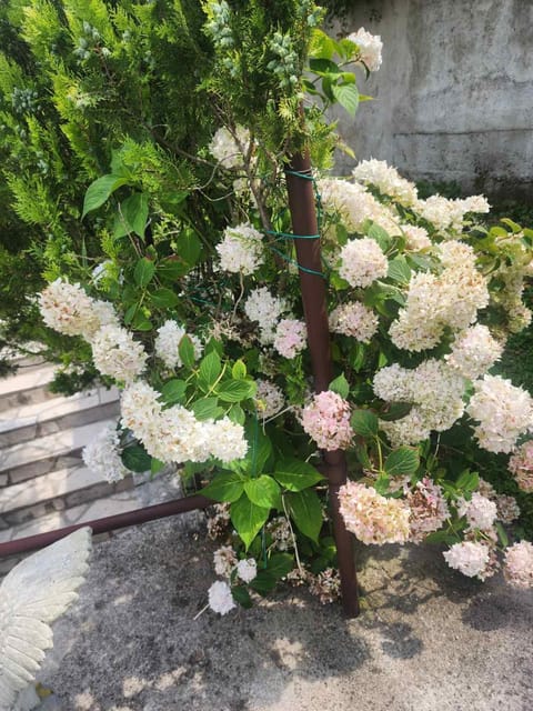 Deluxe Double Room with Garage FiS Bed and Breakfast in Kotor Municipality