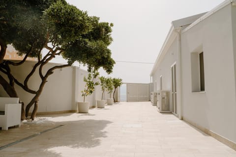 Property building, Facade/entrance, Garden, Inner courtyard view