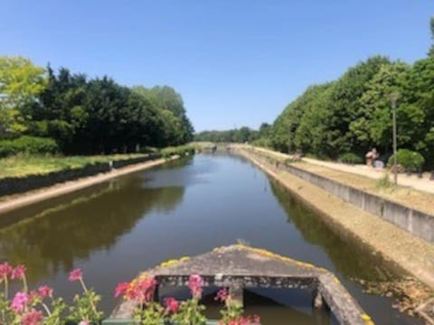 Le Domremy F2 au cœur d'Orléans Apartment in Orléans