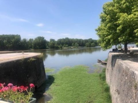 Le Domremy F2 au cœur d'Orléans Apartment in Orléans