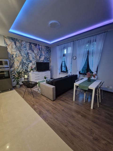 TV and multimedia, Kitchen or kitchenette, Living room, Photo of the whole room, Seating area, Dining area