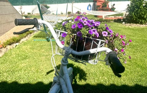 Day, Garden, Garden view
