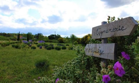 Garden, Garden view