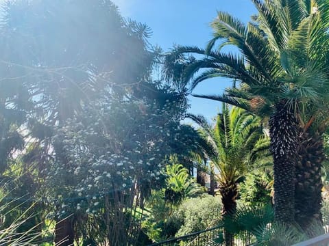 Le Port Tamaris Apartment in La Seyne-sur-Mer