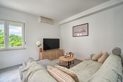 TV and multimedia, Living room, Seating area, air conditioner