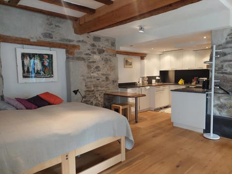 Revier im Bären-Quartier Apartment in St. Gallen, Switzerland