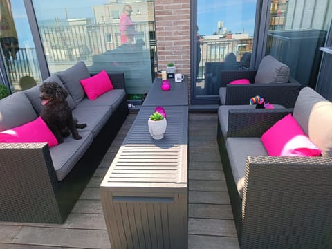 Koksijde Penthouse Apartment in Koksijde