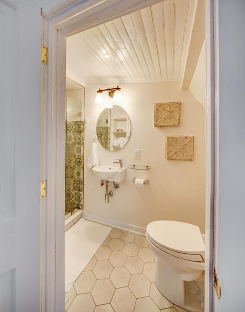 Fairytale Loft Suite 1 bed, 1 bath Luxury Apartment in Downtown Belmont House in Charlottesville