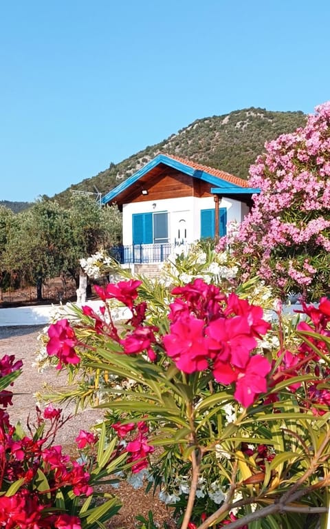Villas Kiriaki Villa in Thasos