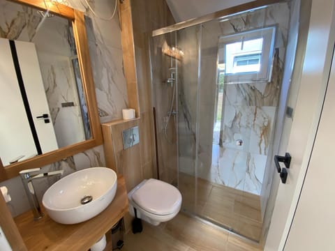 Shower, Toilet, Bathroom, towels