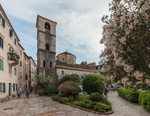 Apartman Maestral Apartment in Kotor