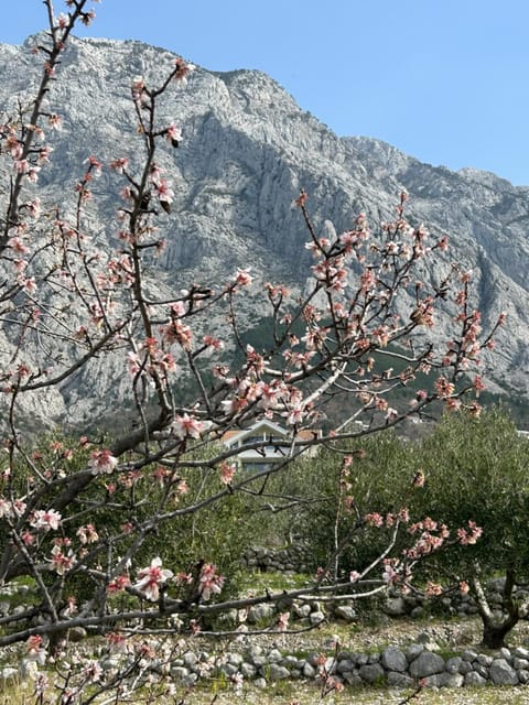 Natural landscape, Mountain view