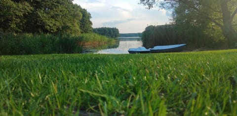 Lake view