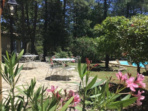 Patio, Garden, Swimming pool